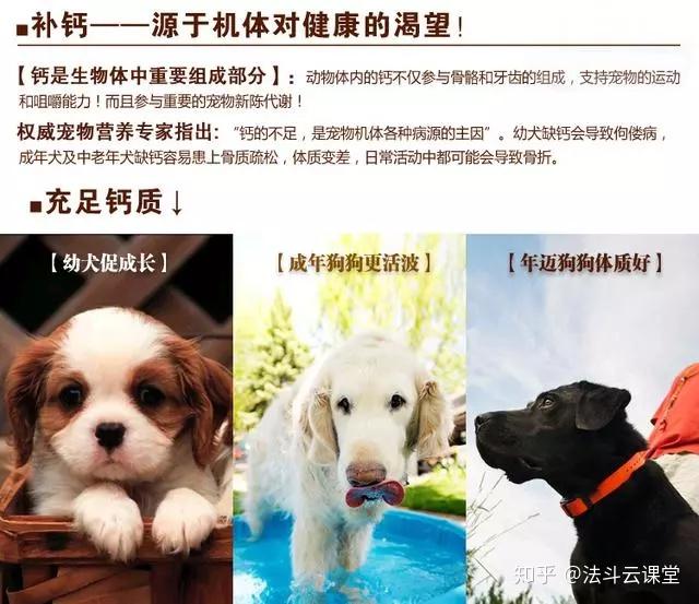 狗怎么补钙(补钙狗粮)-硒宝网