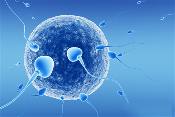 中年男人补什么锌硒（男人补锌补硒的作用功效）-硒宝网