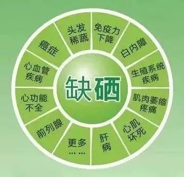 白细胞低可以补硒吗(细胞补低白硒可以吗)-硒宝网