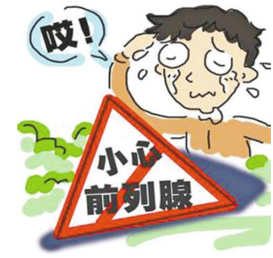 白细胞低可以补硒吗(细胞补低白硒可以吗)-硒宝网