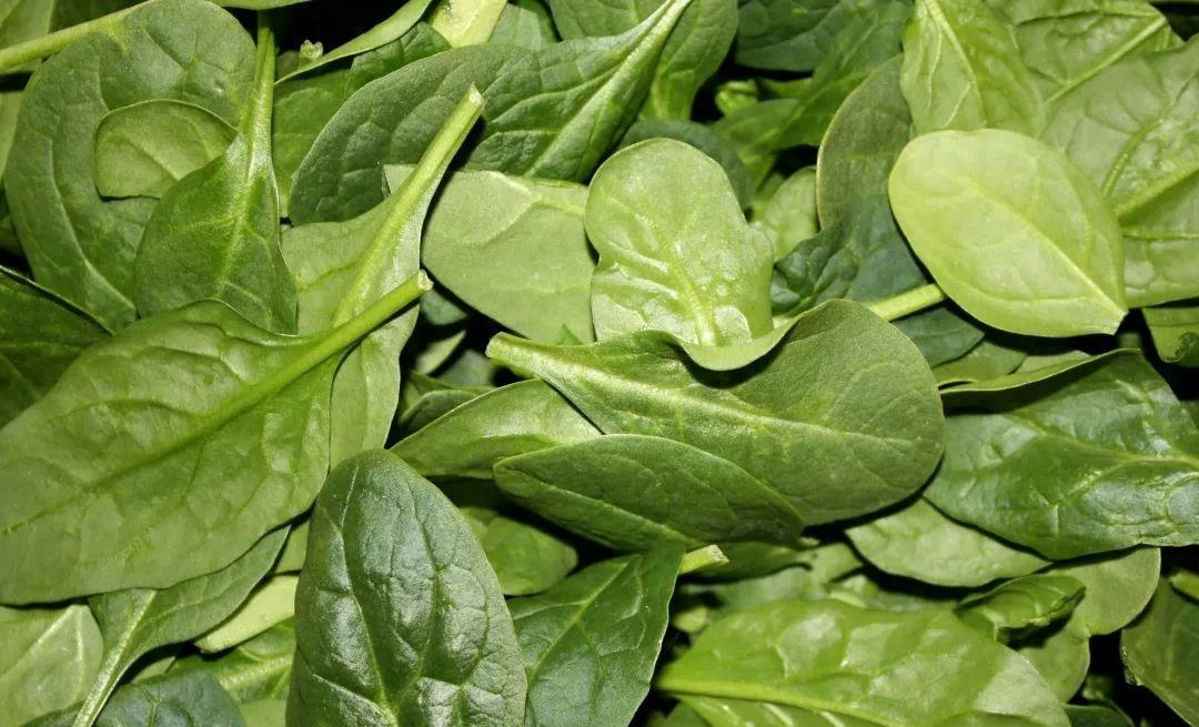 补硒的菜有那些菜谱（补硒的蔬菜水果有哪些）-硒宝网