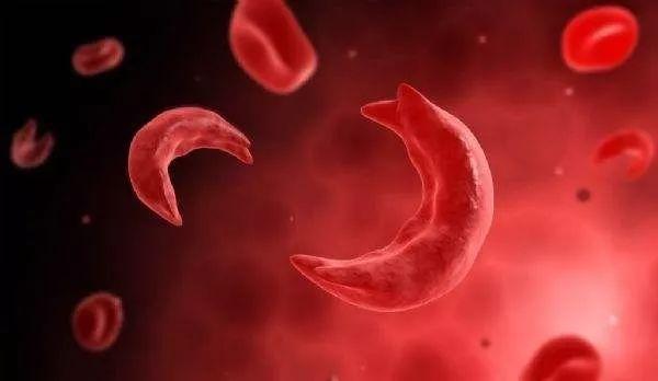 微量元素锌偏低(微量元素中锌偏低)-硒宝网