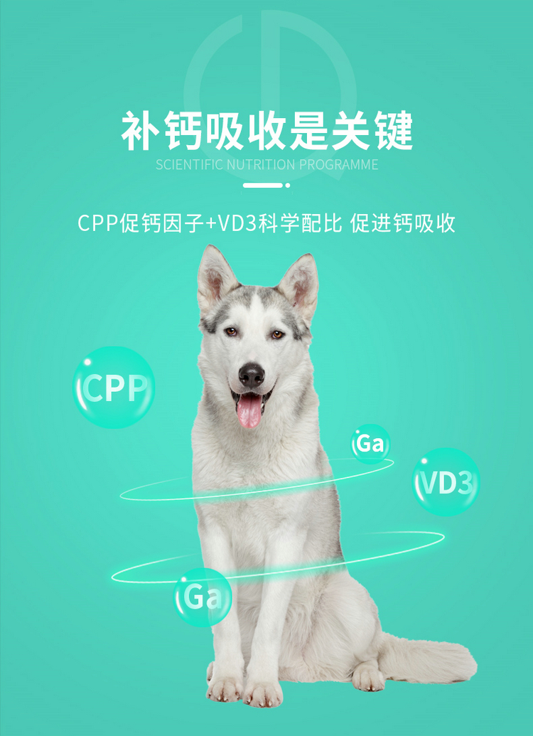 吃什么补钙最快(补钙吃什么钙片最好)-硒宝网