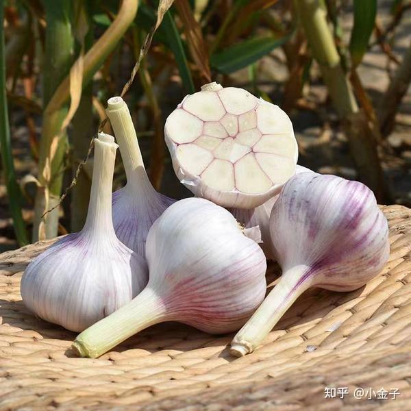 补硒食物女性能吃吗（女的补硒）-硒宝网