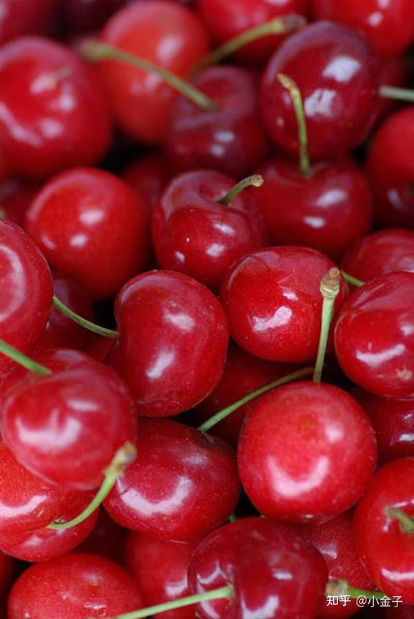 补硒食物女性能吃吗（女的补硒）-硒宝网