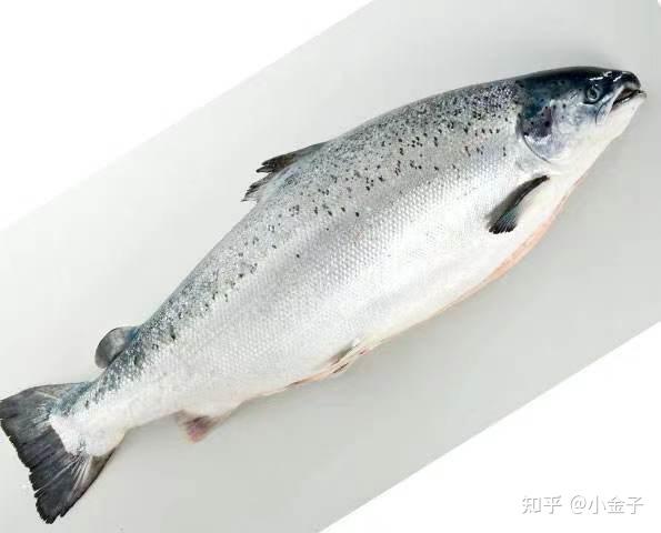 补硒食物女性能吃吗（女的补硒）-硒宝网