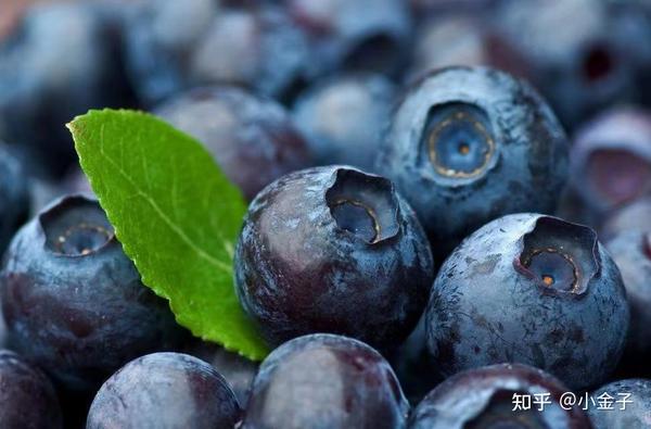 补硒食物女性能吃吗（女的补硒）-硒宝网