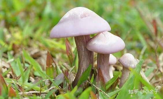 补硒食物女性能吃吗（女的补硒）-硒宝网