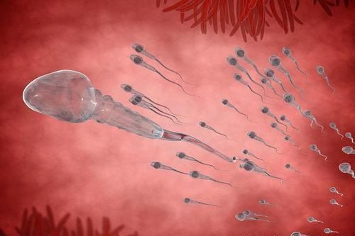 备孕补硒有什么作用（备孕期间能吃补硒的保健品吗）-硒宝网