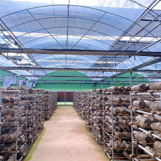 补硒能减尿白蛋白吗(尿蛋白高能吃硒吗)-硒宝网