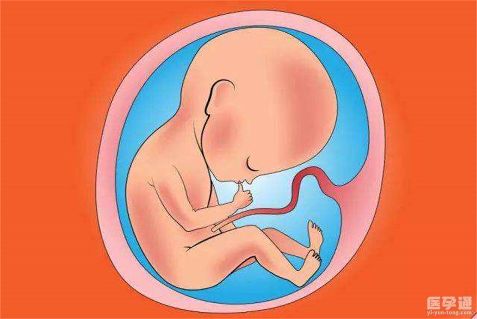 怀孕缺硒可以不补吗(缺怀孕补硒可以补多久)-硒宝网