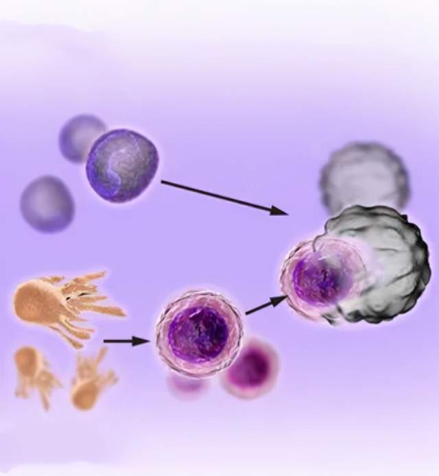 男性备孕补硒的好处(男人备孕补硒)-硒宝网