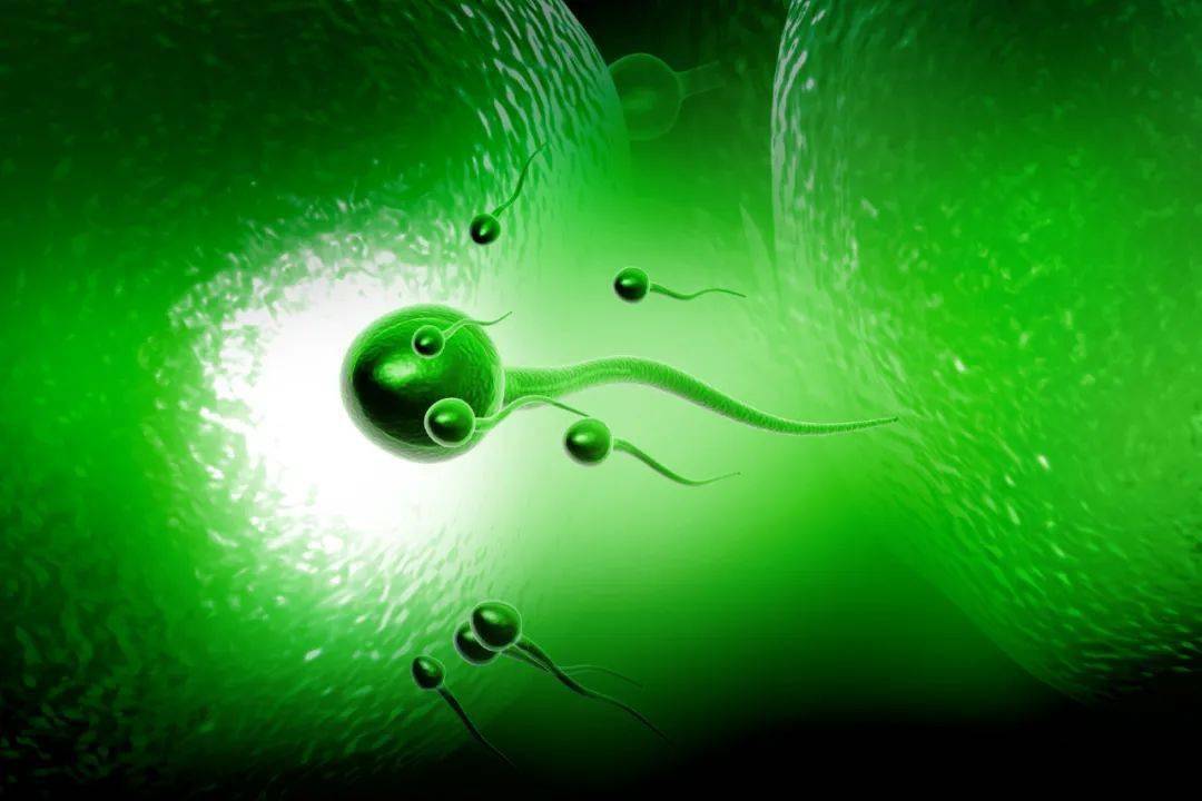 怀孕缺硒可以不补吗(孕期能补硒吗)-硒宝网