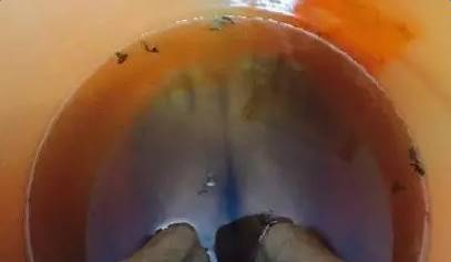 补硒可以用开水冲泡(开水冲泡补硒用可以加糖吗)-硒宝网