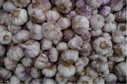 女性补硒和锌的作用(锌硒宝女人能吃吗)-硒宝网