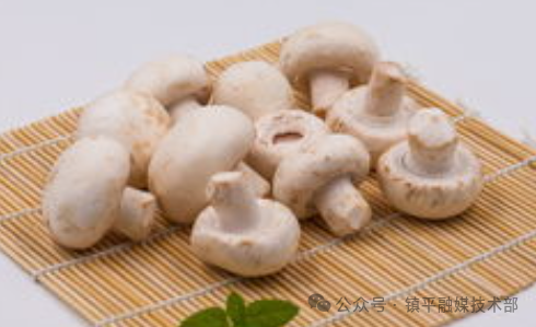 大蒜如何吃能补硒呢（大蒜怎样吃补硒）-硒宝网