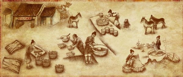 硒吃什么食物补得快（吃硒补什么）-硒宝网