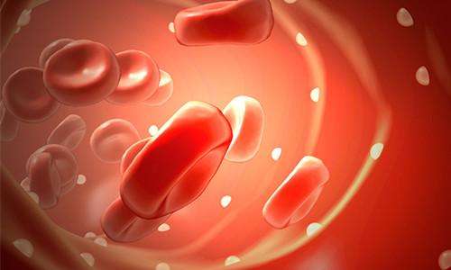 硒吃什么食物补得快（吃硒补什么）-硒宝网