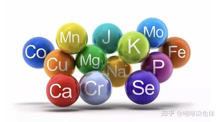 补镁和硒哪个重要些（镁硒怎么读）-硒宝网