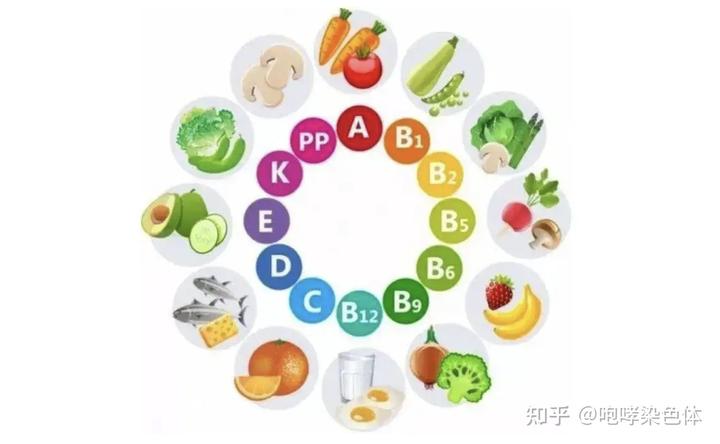 补镁和硒哪个重要些（镁硒怎么读）-硒宝网