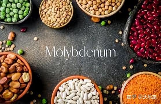 补镁和硒哪个重要些（缺硒镁吃什么）-硒宝网