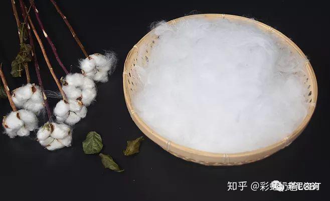 补硒对支原体有效吗(有支原体要吃什么药)-硒宝网