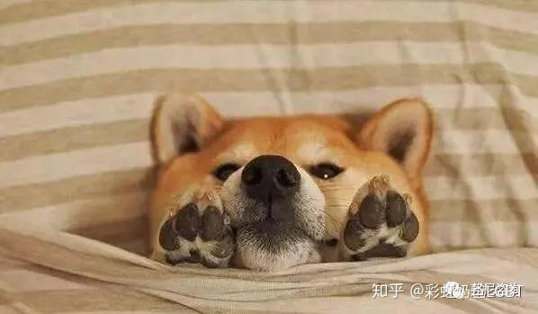 补硒对支原体有效吗(有支原体要吃什么药)-硒宝网