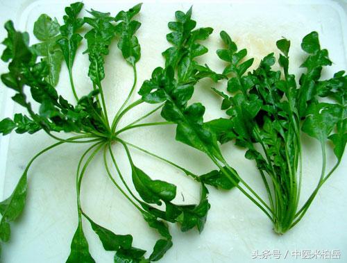 补硒药用功能有哪些(补硒功效)-硒宝网