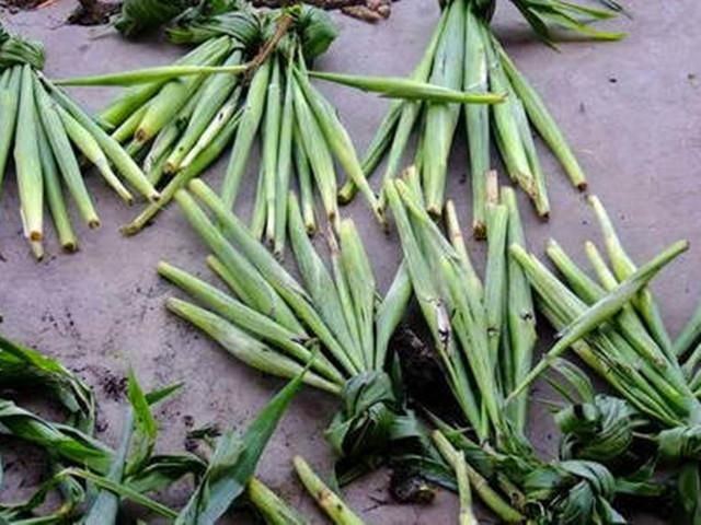 补硒药用功能有哪些（补硒的药有什么）-硒宝网