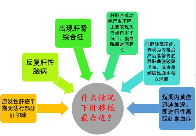补硒会利尿么吗女性(补硒为什么小便臭)-硒宝网