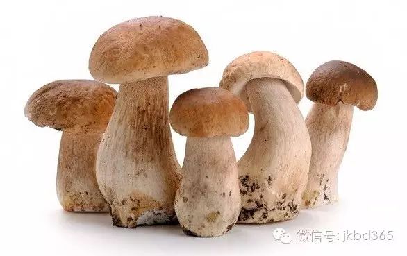 补硒会利尿么吗女性(补硒会不会让尿酸高)-硒宝网