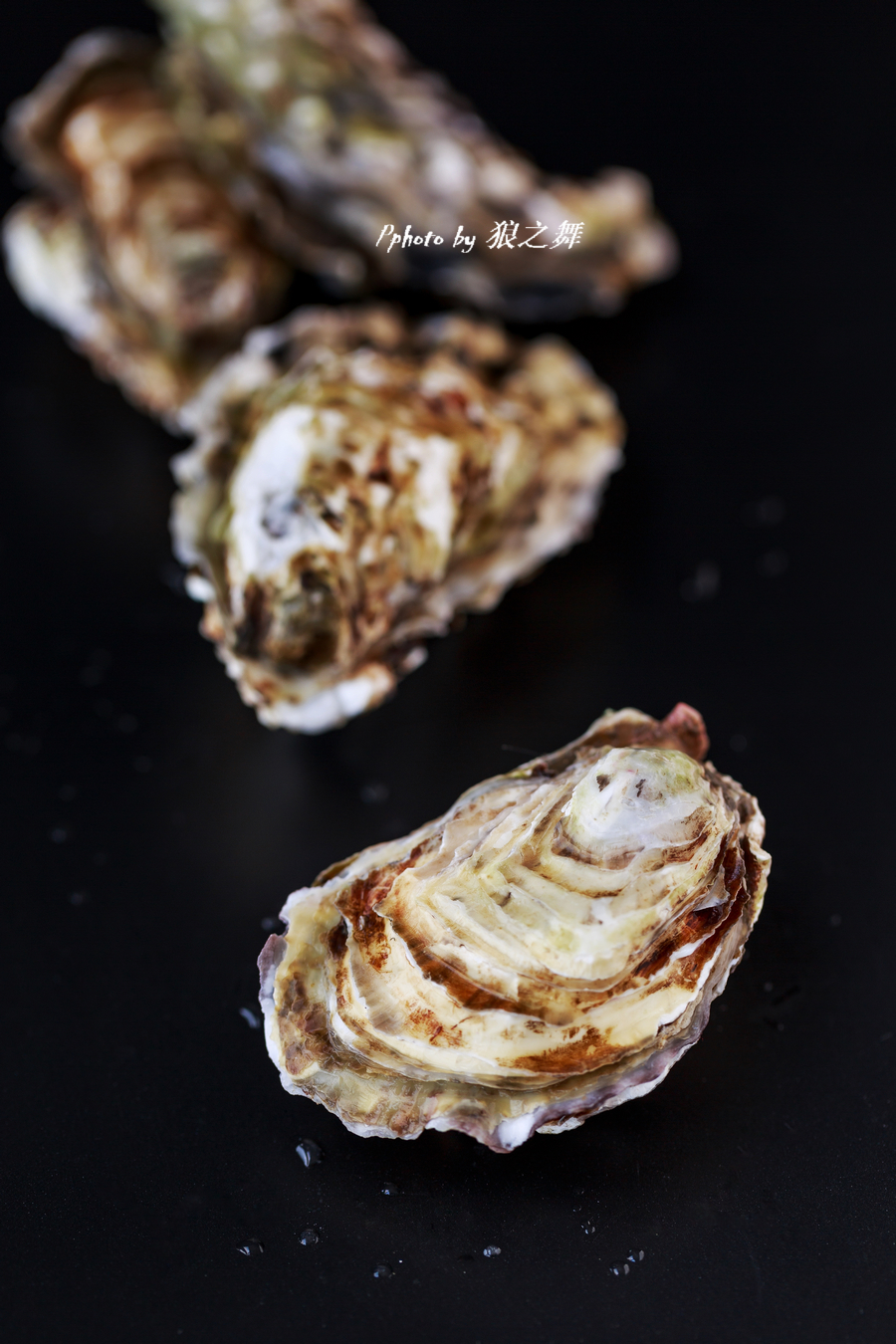 生蚝补锌还是补硒好（生蚝补锌）-硒宝网