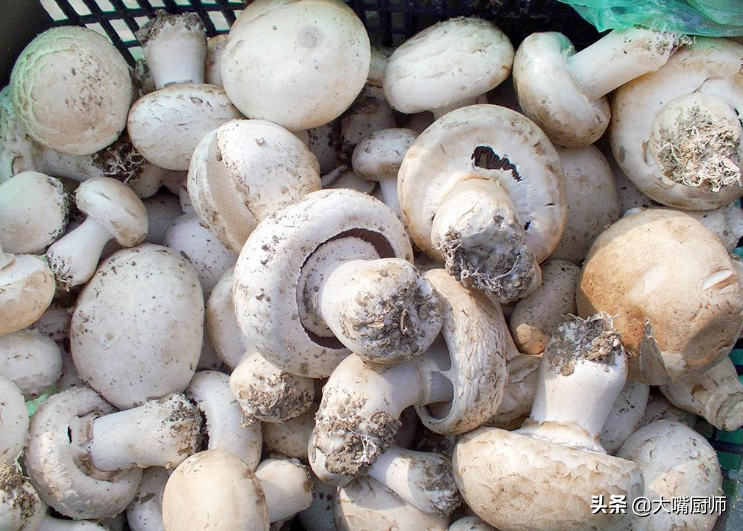 维生素d滴剂是补钙的吗（补钙用维生素d）-硒宝网