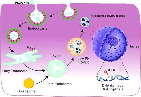 补硒药物的副作用吗（药物补硒好吗）-硒宝网