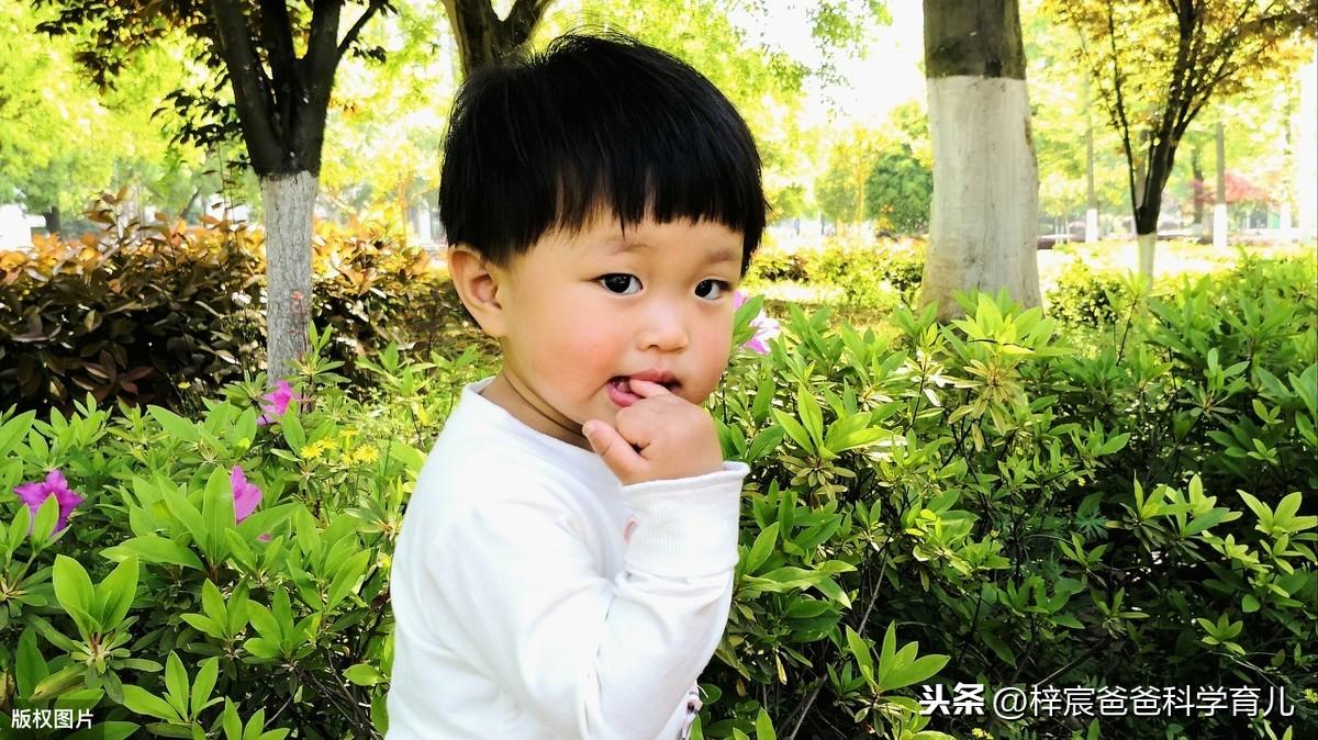 宝宝需要补锌吗(宝宝补锌需要天天吃吗)-硒宝网