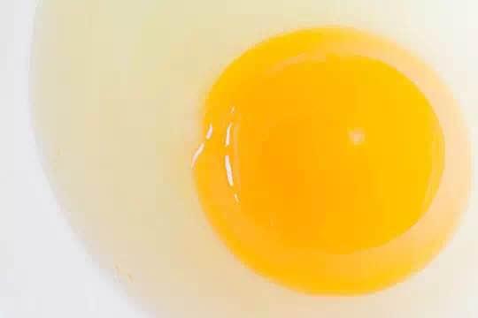 补铁有什么好处(补铁对哪里好)-硒宝网