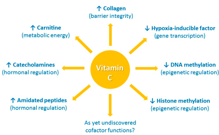尿酸高男性能补硒吗(能男性补尿酸高硒元素吗)-硒宝网