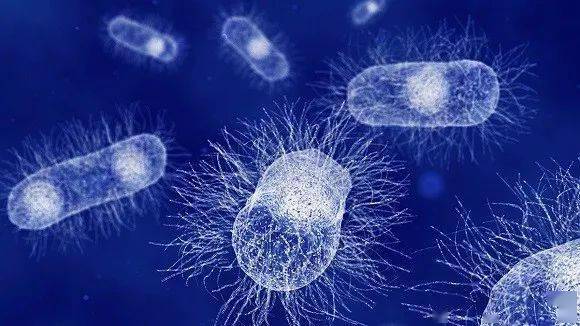 乙肝病人每天补硒量(乙肝每天补硒多少)-硒宝网