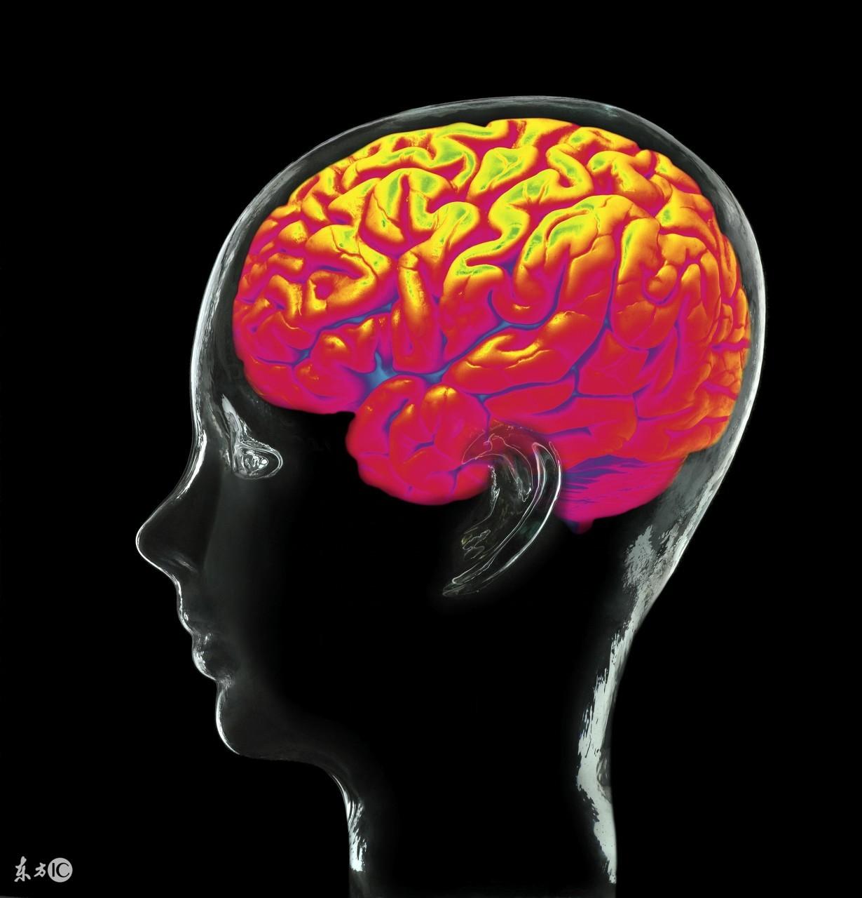 甲减可以补锌补硒吗(甲减可以补钙锌吗)-硒宝网