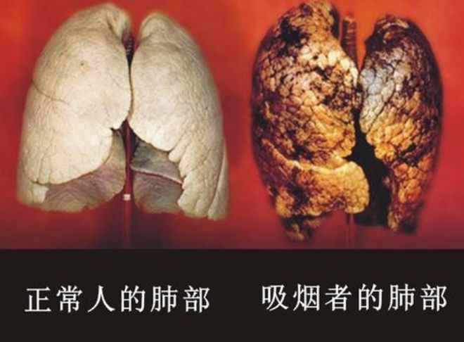 补硒对吸烟有作用吗(补硒对吸烟喝酒的作用)-硒宝网