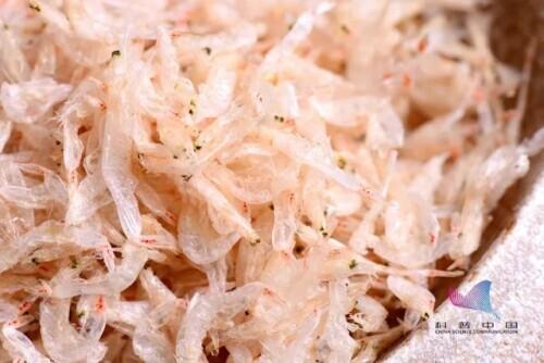 补硒会不会让尿酸高(会补尿酸高硒让人发胖吗)-硒宝网