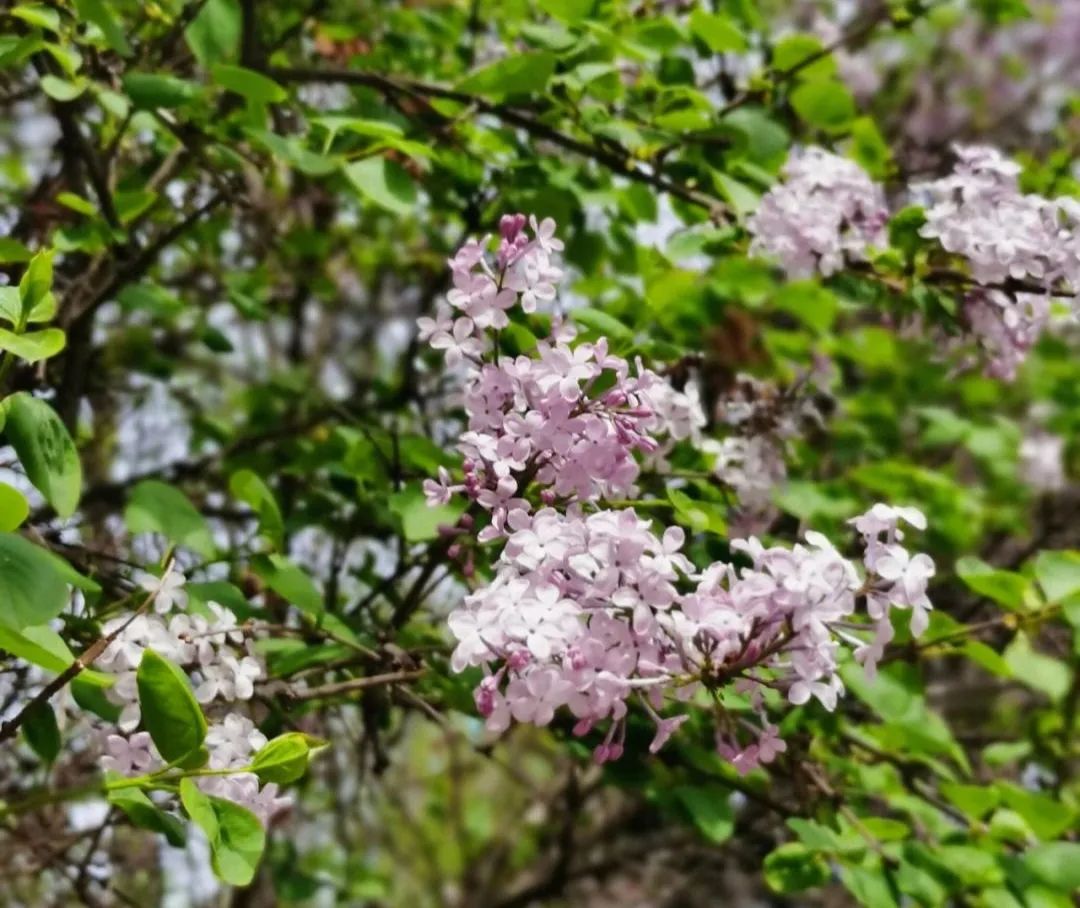 鱼补钙吗（补钙鱼类）-硒宝网