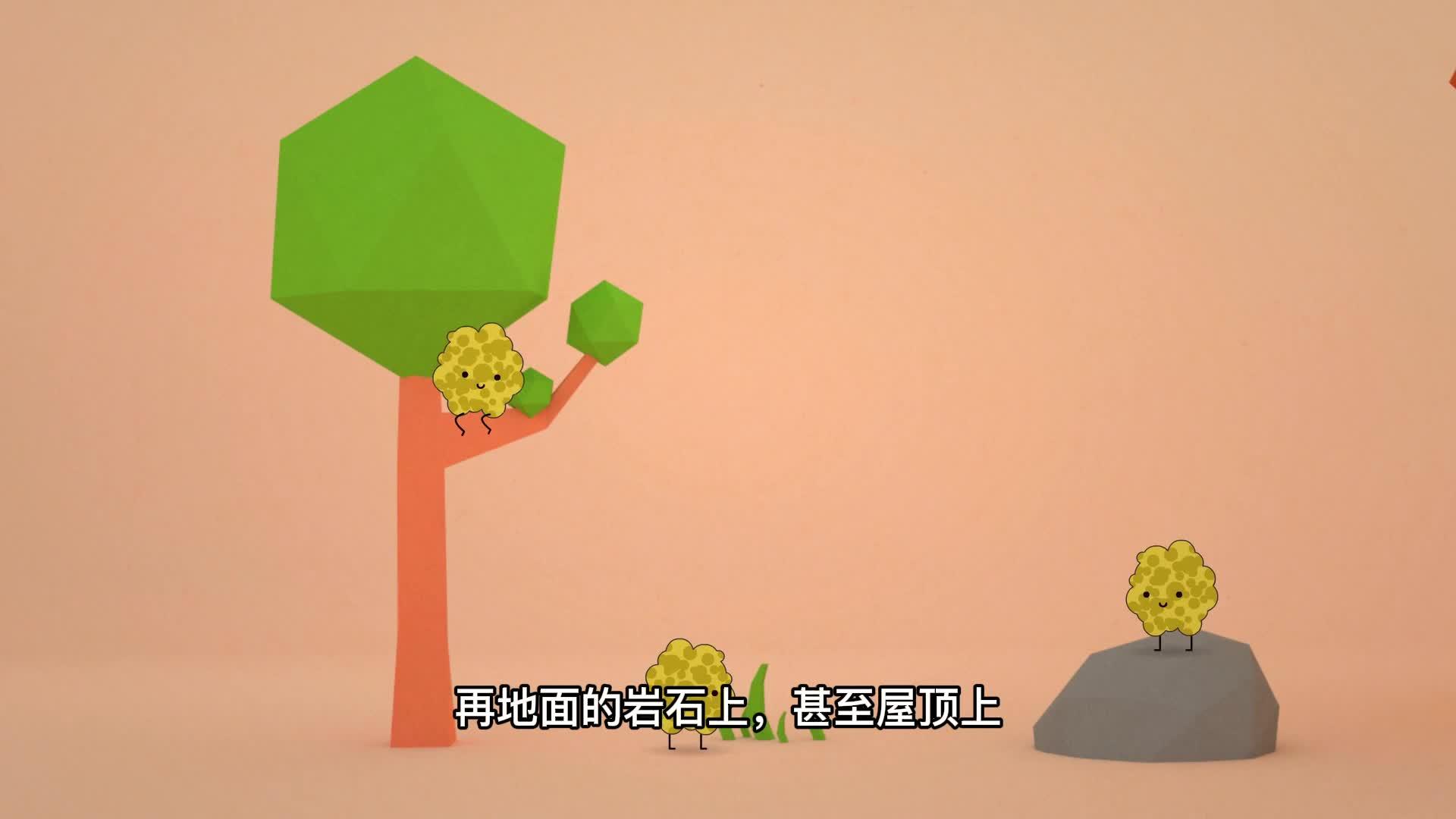 补钙要吃维生素d吗（补钙需要维生素d+钙片吗）-硒宝网