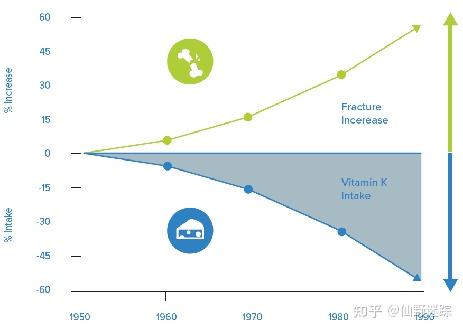 补钙要吃维生素d吗（补钙需要维生素d+钙片吗）-硒宝网