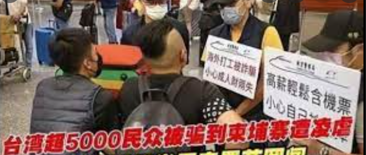 补锌硒的药哪个牌子好(补充锌硒哪个牌子好)-硒宝网