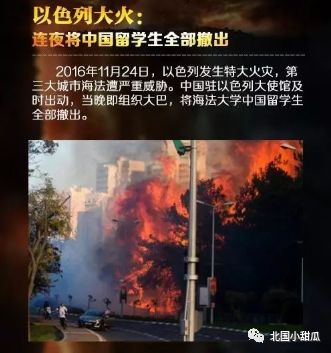 补锌硒的药哪个牌子好(补充锌硒哪个牌子好)-硒宝网