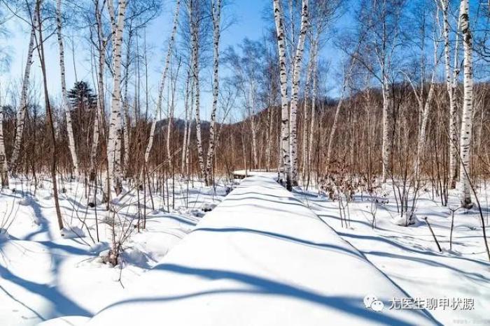 桥本甲减补硒多少量（桥本甲减补硒的作用）-硒宝网