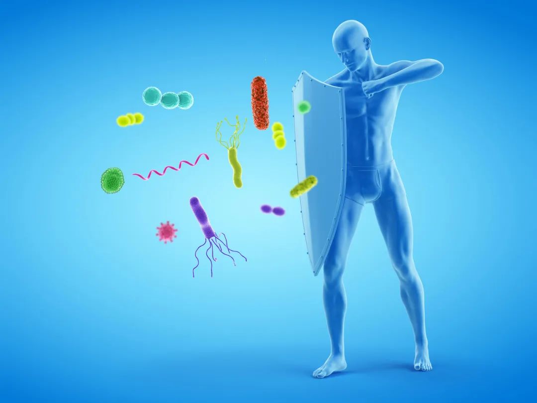 有哪些水果是补硒的(硒水果食物)-硒宝网