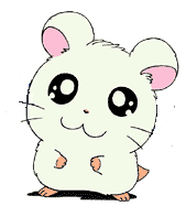 有哪些水果是补硒的(硒水果食物)-硒宝网