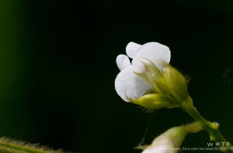 补硒对肾积水有用么(肾积水补硒用有效果吗)-硒宝网